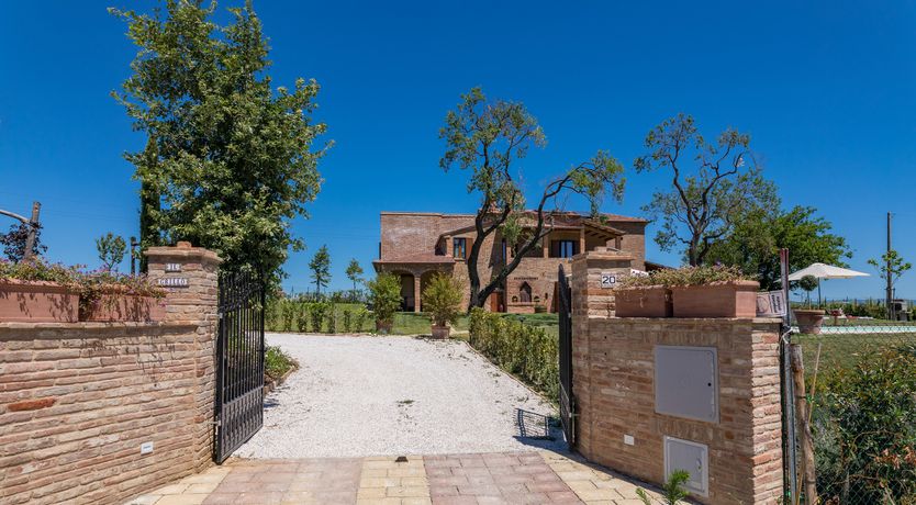 Photo of Between the Vineyards