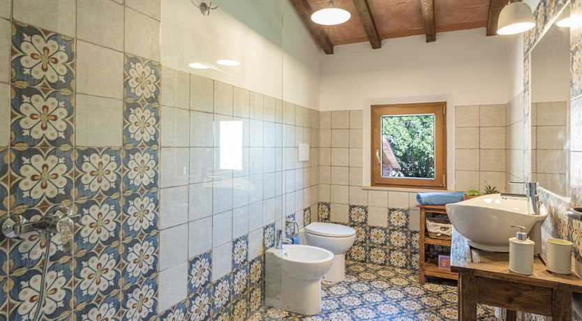 Photo of Between the Vineyards