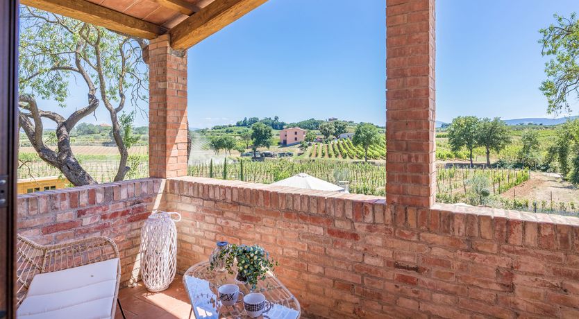 Photo of Between the Vineyards