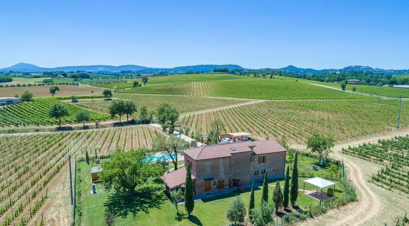 Photo of Between the Vineyards