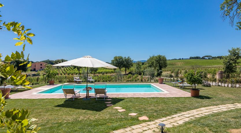 Photo of Between the Vineyards