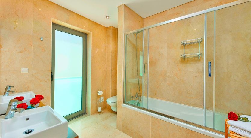 Photo of The New Olive Mill