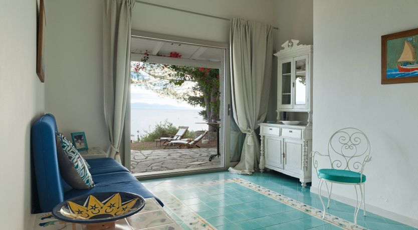 Photo of Cicada Chatter