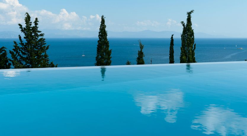 Photo of Cicada Chatter