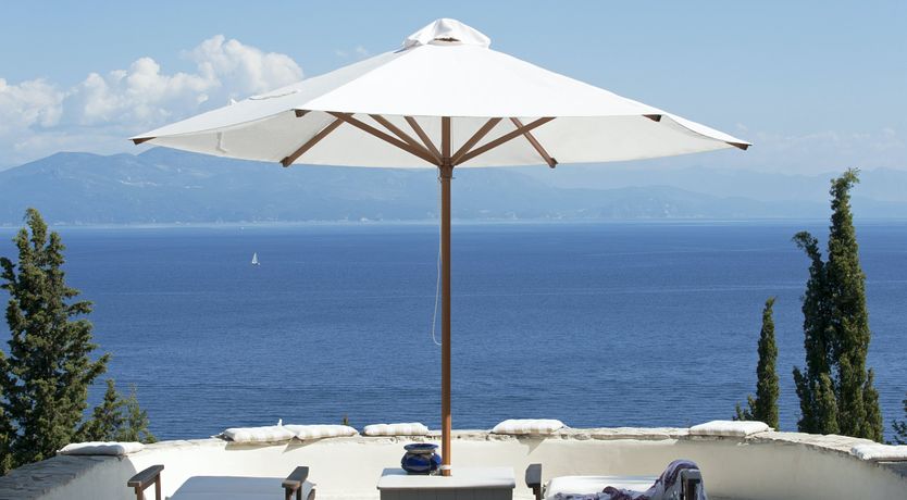 Photo of Cicada Chatter