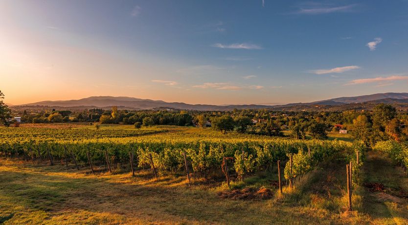 Photo of The Vineyard House