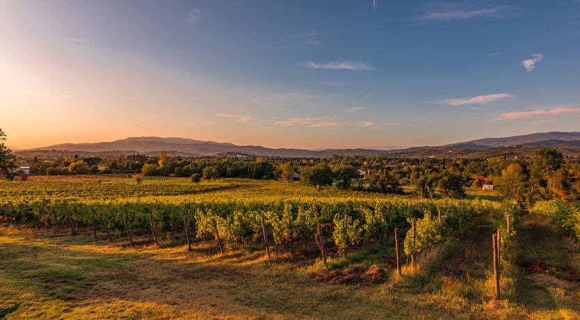 Photo of The Vineyard House