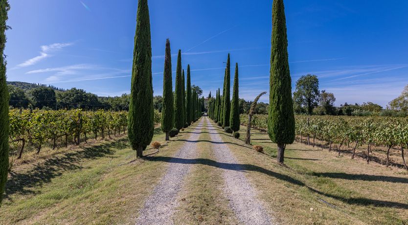 Photo of The Vineyard House