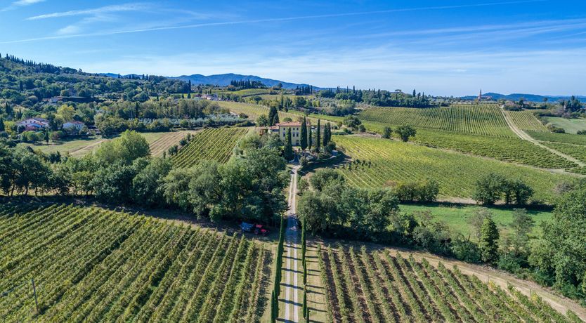 Photo of The Vineyard House