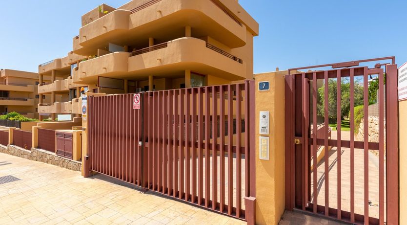 Photo of Mijas Marigold