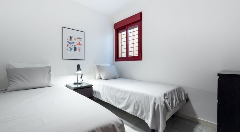 Photo of Mijas Marigold