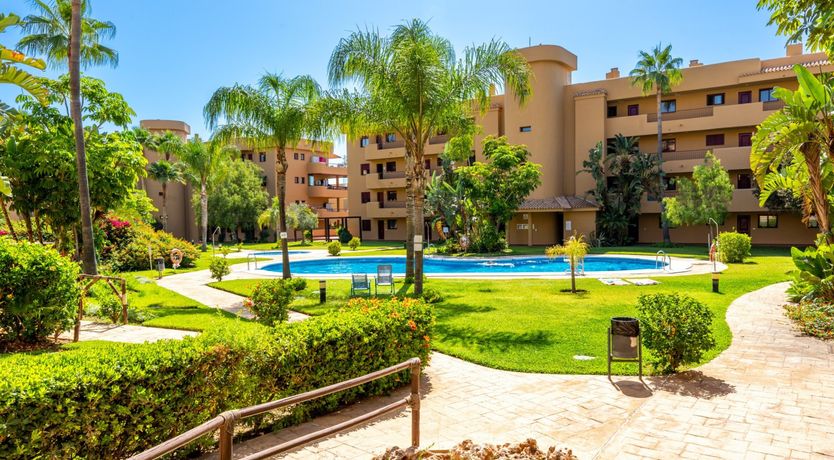 Photo of Mijas Marigold