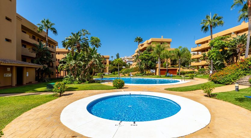 Photo of Mijas Marigold