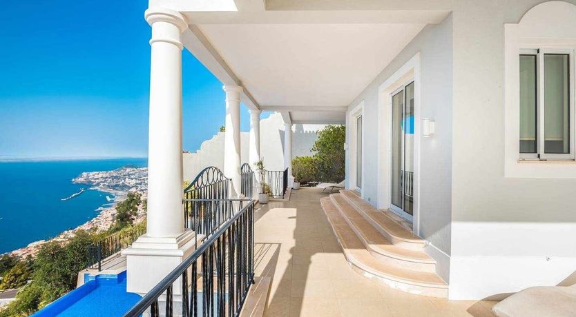 Photo of Blue Hibiscus