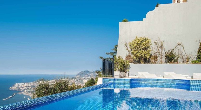 Photo of Blue Hibiscus