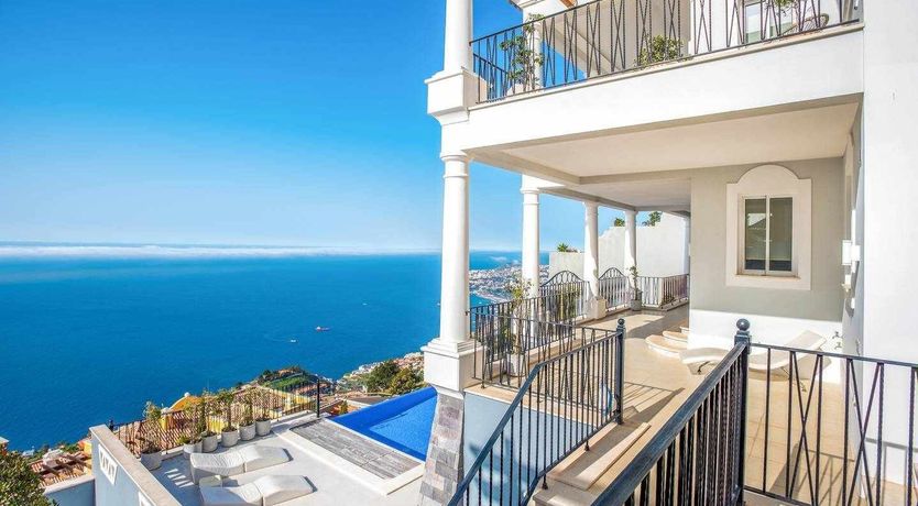 Photo of Blue Hibiscus