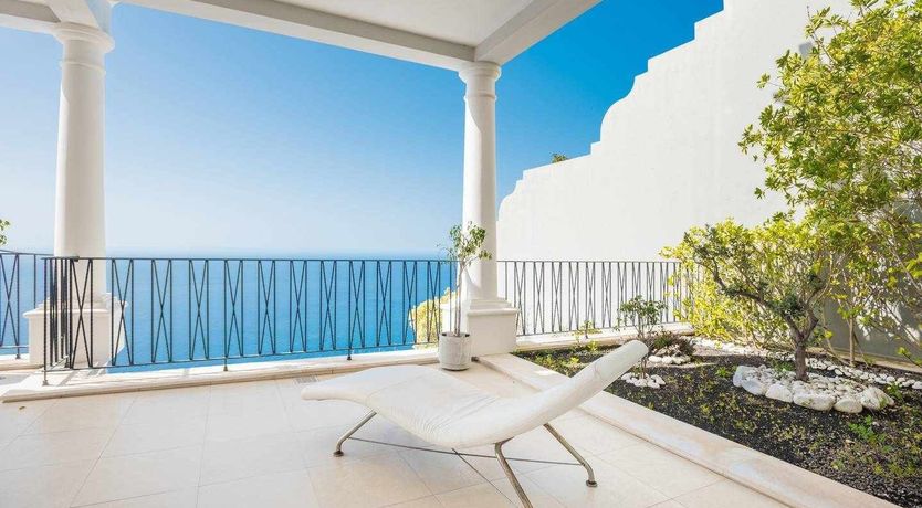 Photo of Blue Hibiscus