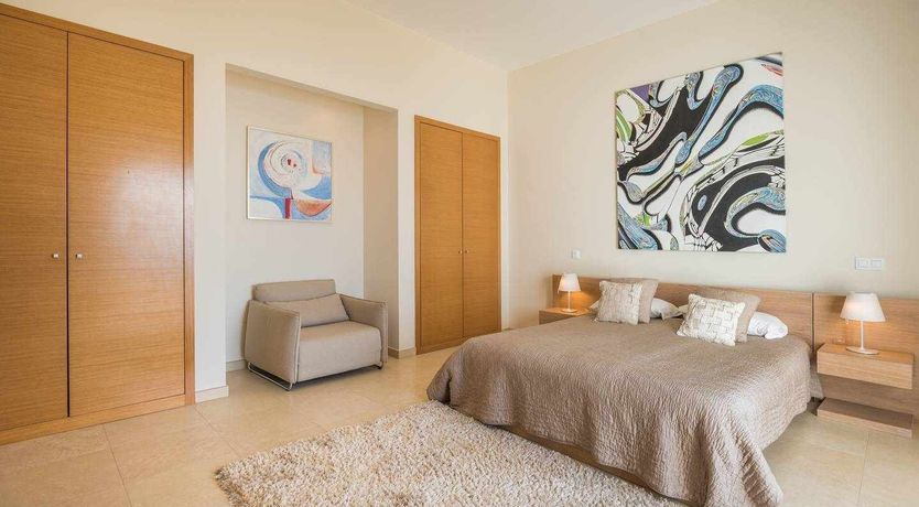 Photo of Blue Hibiscus