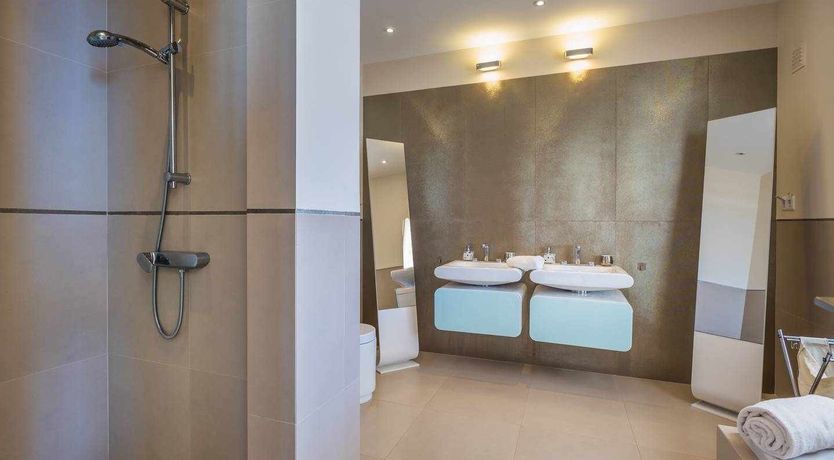 Photo of Blue Hibiscus