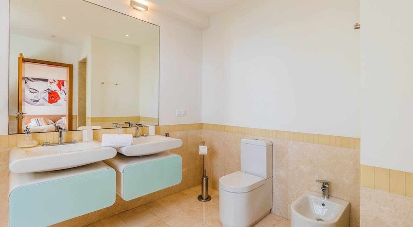 Photo of Blue Hibiscus