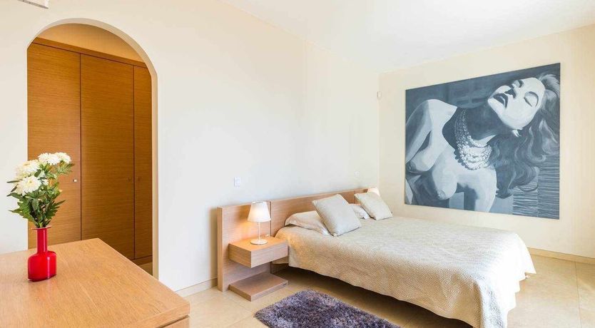 Photo of Blue Hibiscus