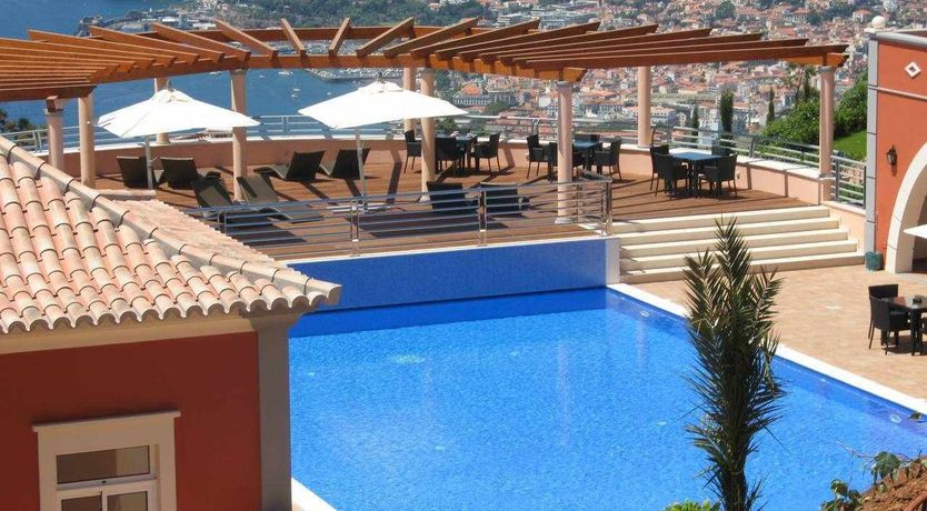 Photo of Blue Hibiscus