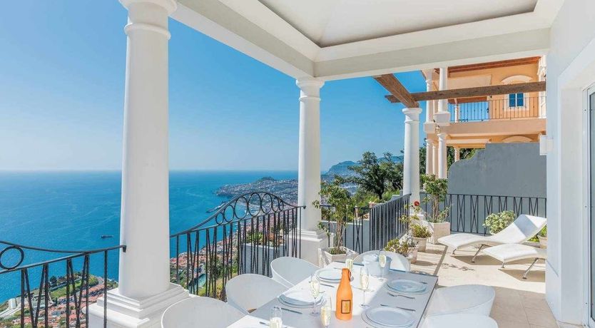 Photo of Blue Hibiscus