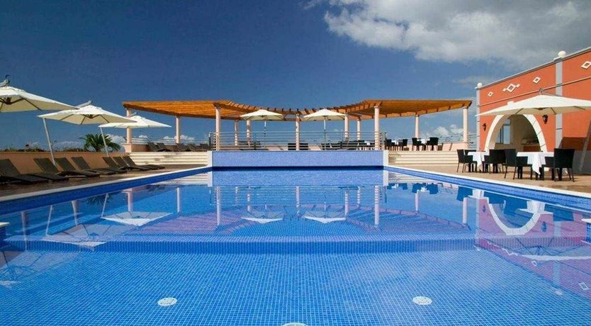 Photo of Blue Hibiscus