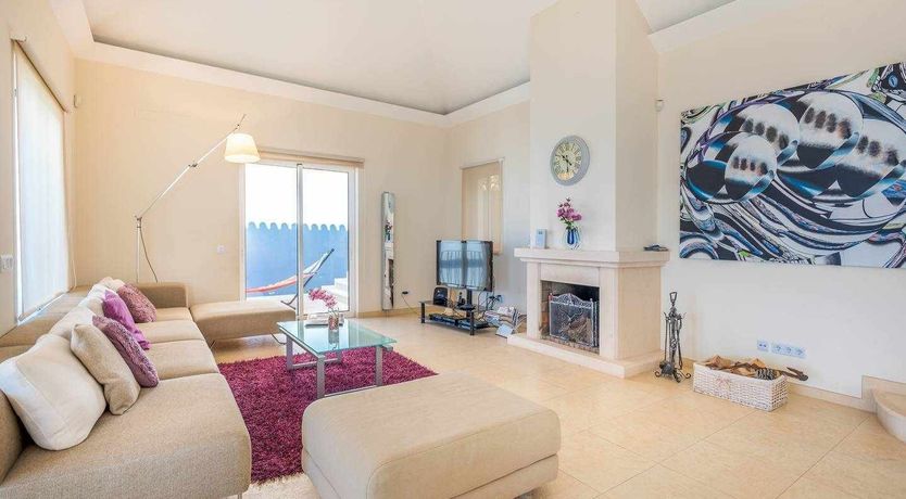 Photo of Blue Hibiscus