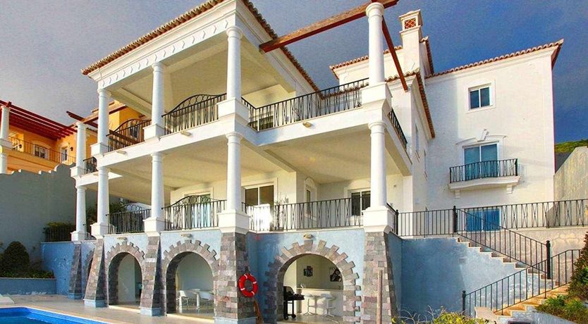 Photo of Blue Hibiscus