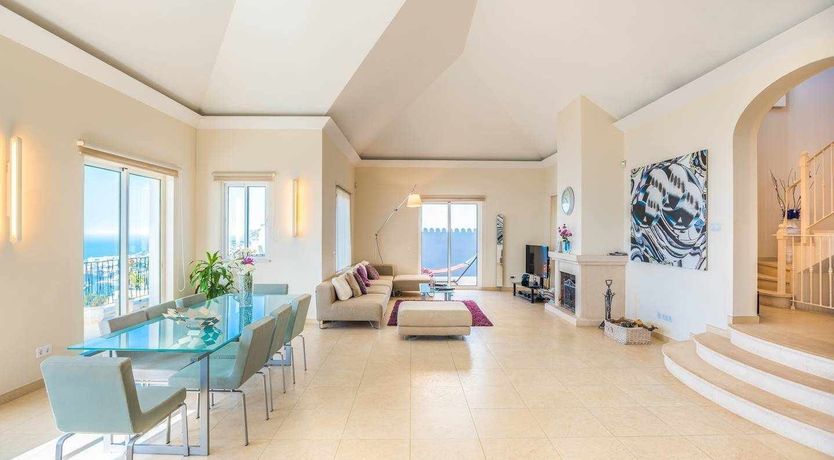 Photo of Blue Hibiscus