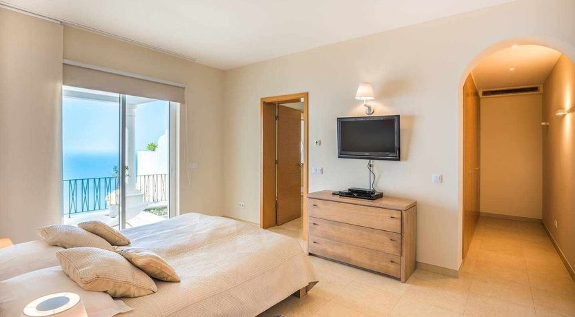 Photo of Blue Hibiscus