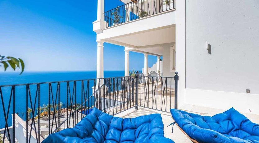 Photo of Blue Hibiscus