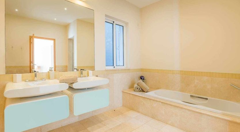 Photo of Blue Hibiscus