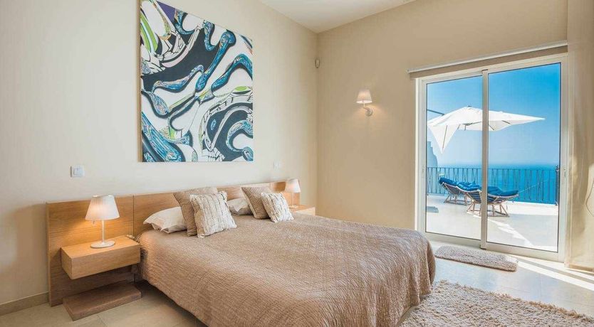 Photo of Blue Hibiscus