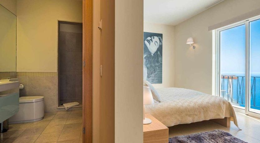 Photo of Blue Hibiscus