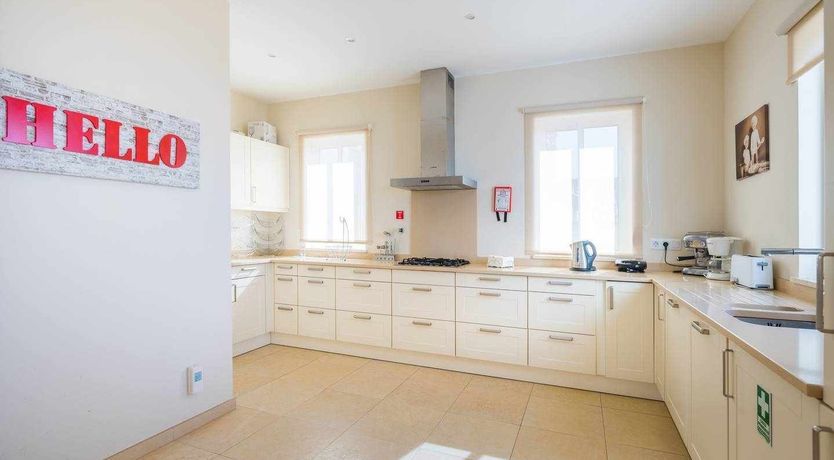 Photo of Blue Hibiscus