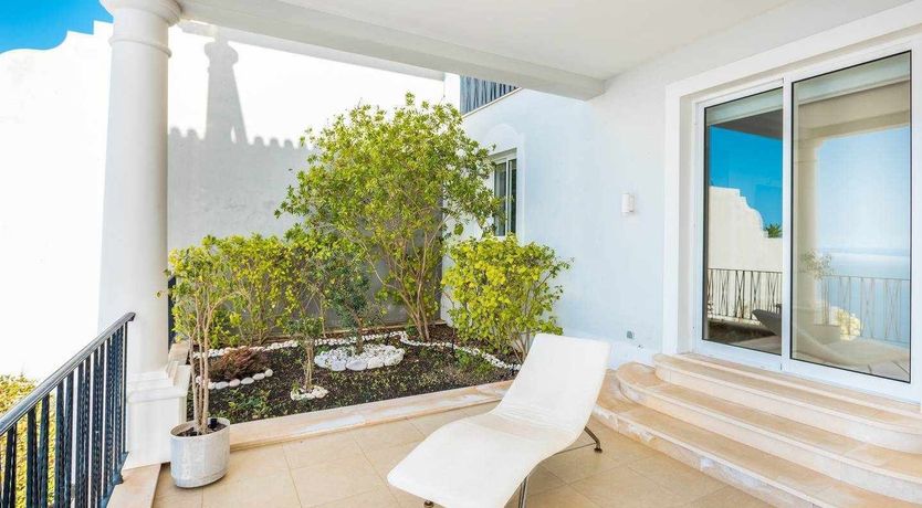 Photo of Blue Hibiscus