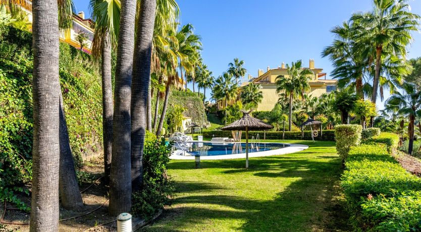 Photo of Golden Grace