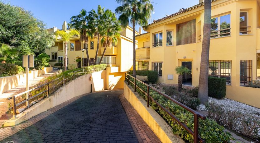 Photo of Golden Grace