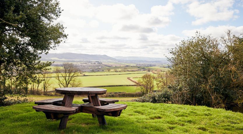 Photo of Scenic Serenity