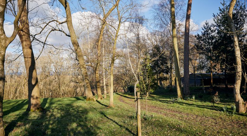 Photo of Scenic Serenity