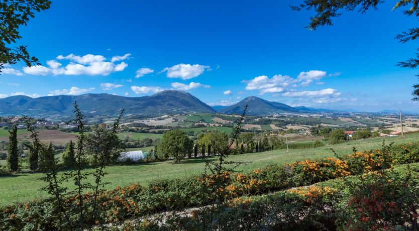 Photo of Chronicles of Summer