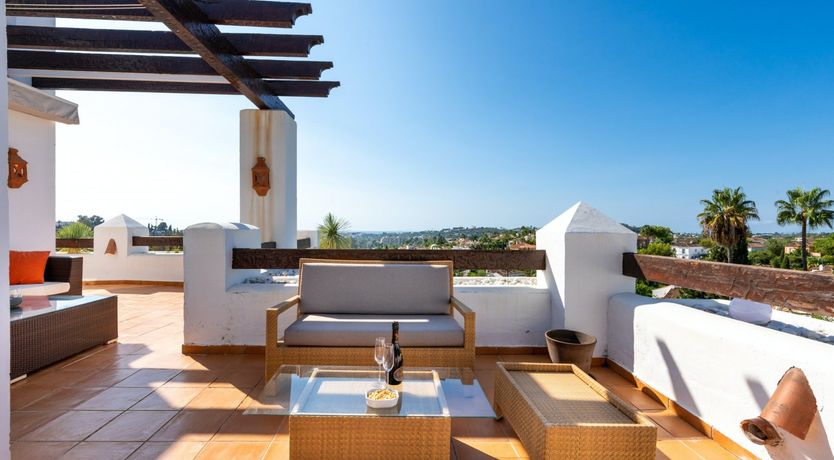 Photo of Tropical Ruby