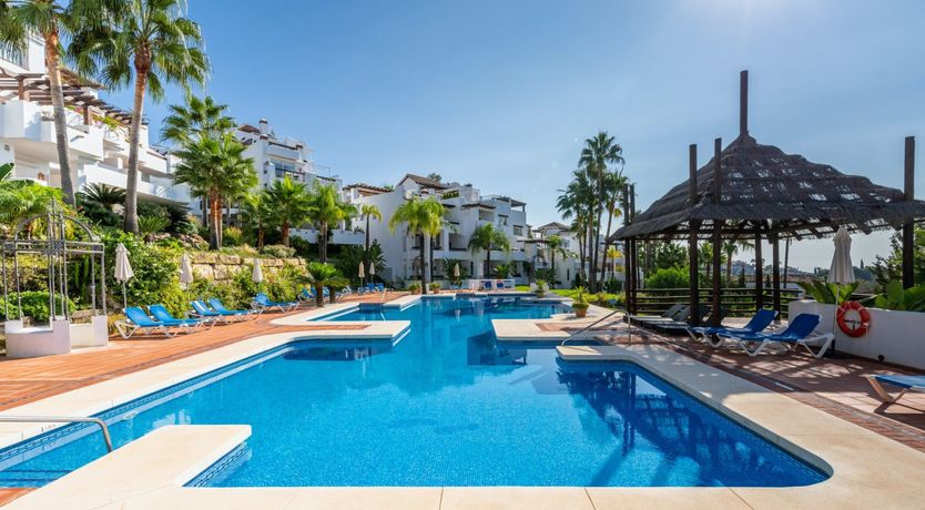 Photo of Tropical Ruby