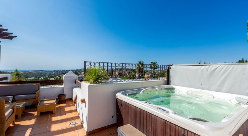 Photo of Tropical Ruby