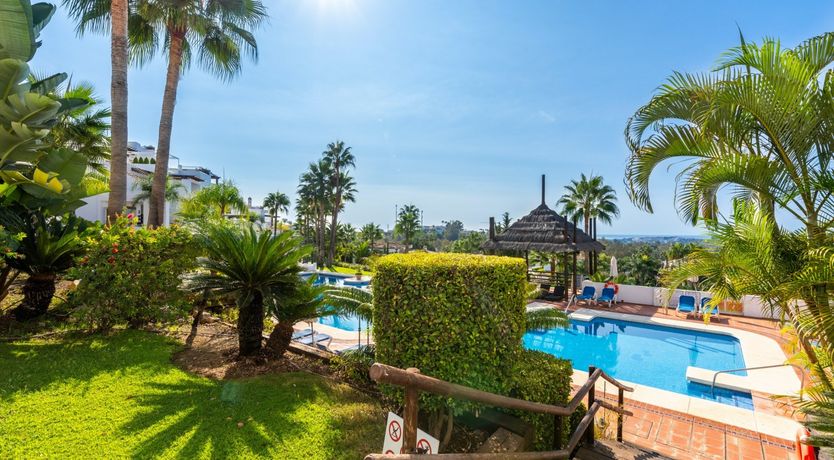 Photo of Tropical Ruby