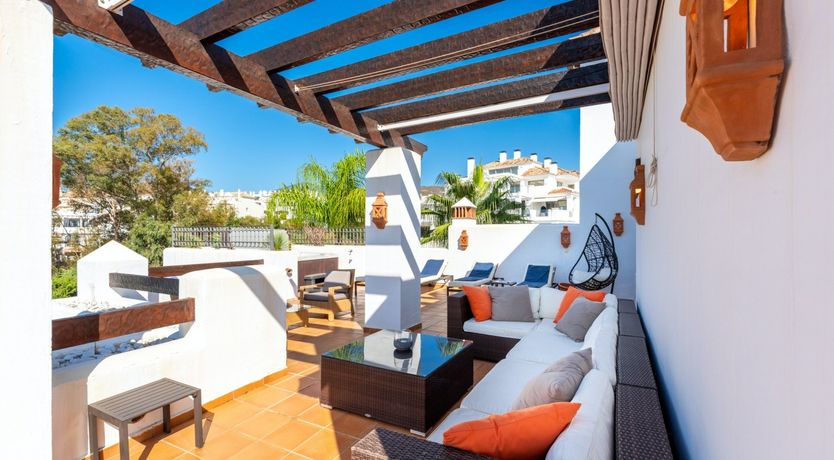 Photo of Tropical Ruby