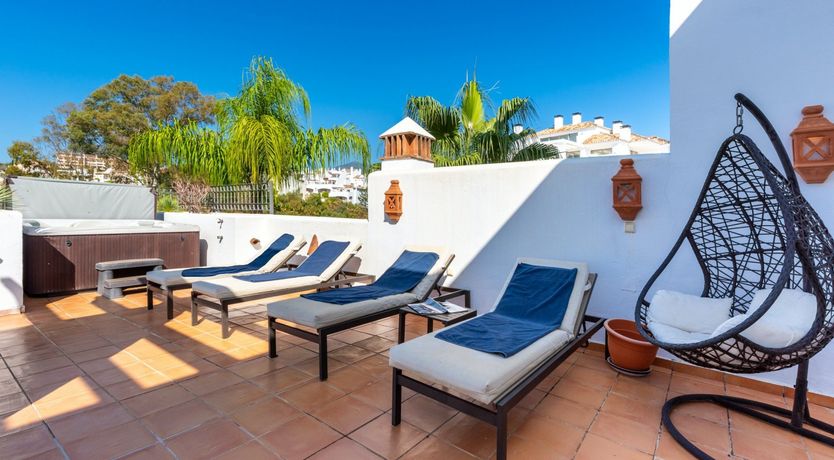 Photo of Tropical Ruby