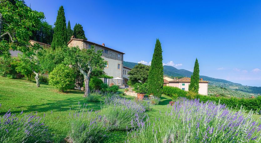 Photo of Like A Fine Merlot